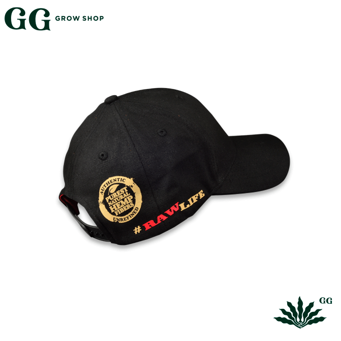 Gorra Raw Negra - Garden Glory Grow Shop