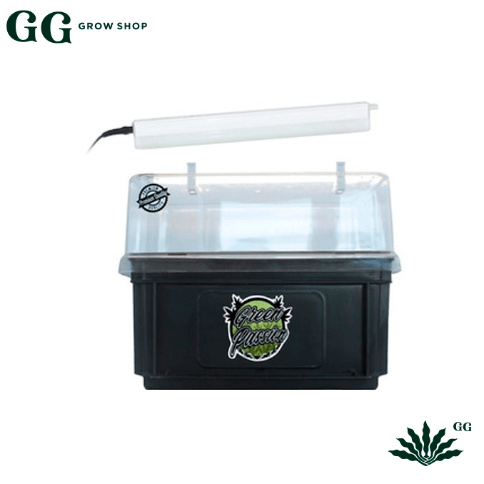 Aeroclonador 18 Timer Green Passion - Garden Glory Grow Shop