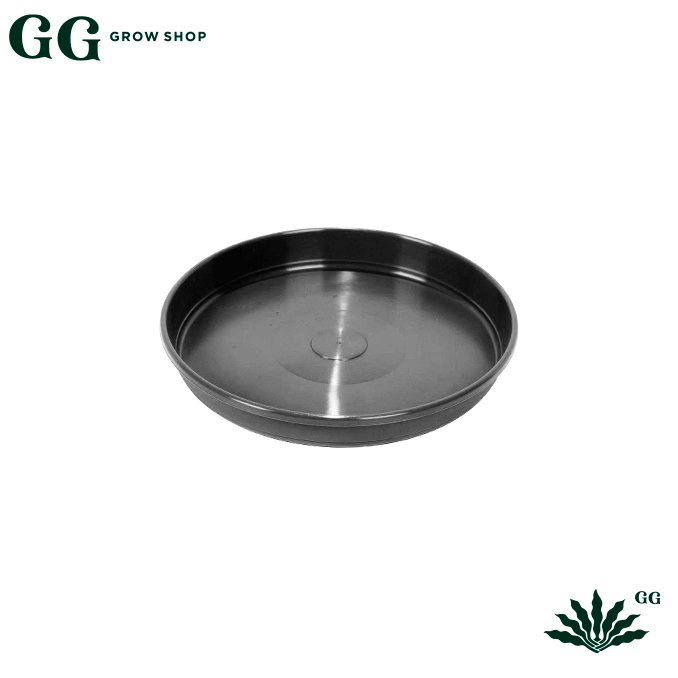 Plato n12 - Garden Glory Grow Shop Plato n12 - Garden Glory Grow Shop
