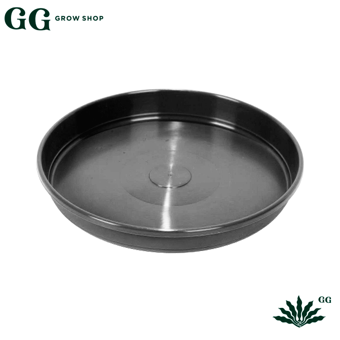 Plato n36 - Garden Glory Grow Shop Plato n36 - Garden Glory Grow Shop