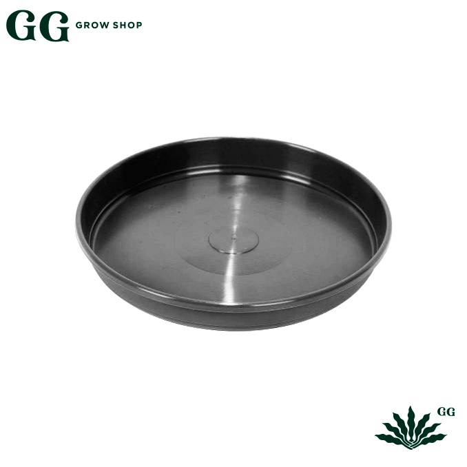 Plato n26 - Garden Glory Grow Shop Plato n26 - Garden Glory Grow Shop