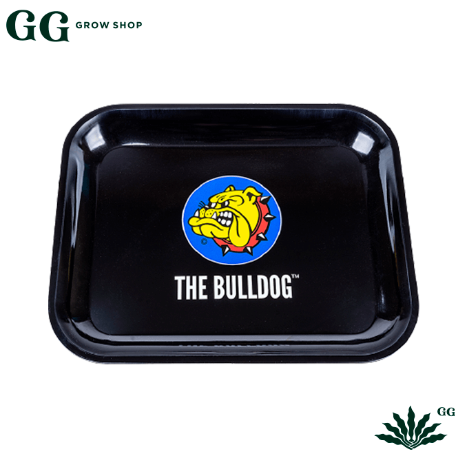 Bulldog Bandeja Mediana - Garden Glory Grow Shop