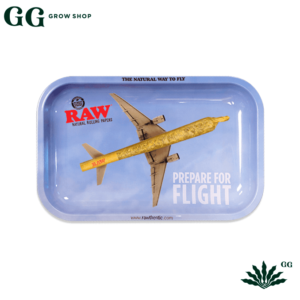 Raw Bandeja Avion Fly Chica - Garden Glory Grow Shop