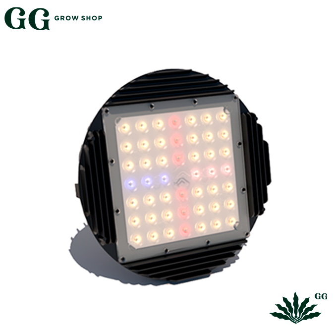 Insativa 1 Led Samsung 80×80 - Garden Glory Grow Shop