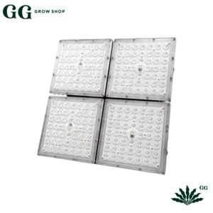 Insativa 4 Led Samsung 150×150 - Garden Glory Grow Shop