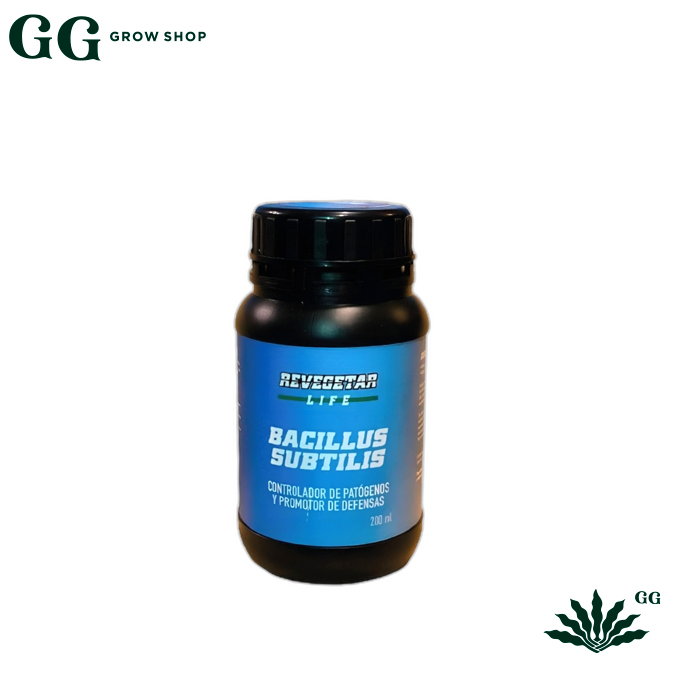 Bacillus Revegetar 200ml - Garden Glory Grow Shop